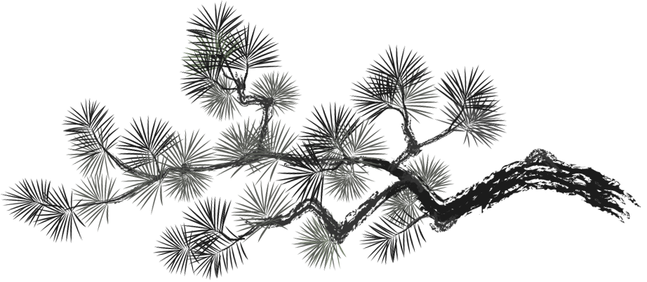 deco