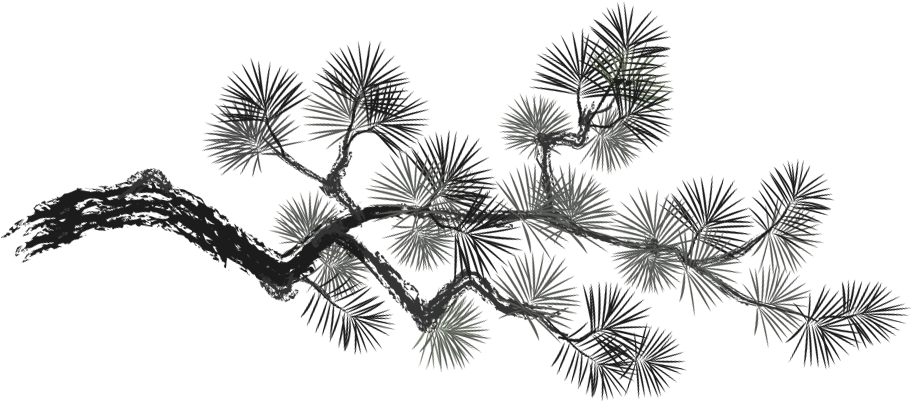 deco