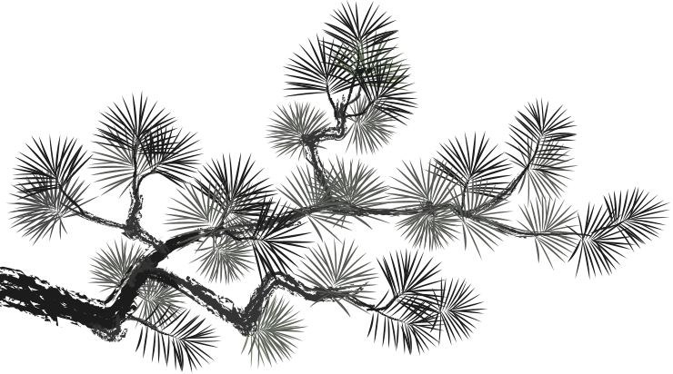 deco