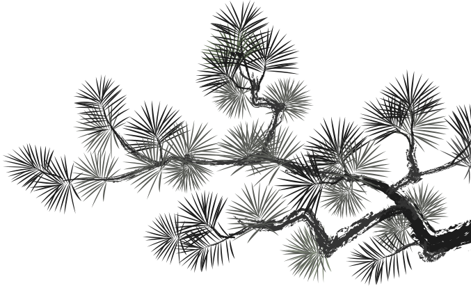 deco