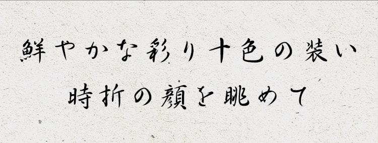 時折の顔を眺めて